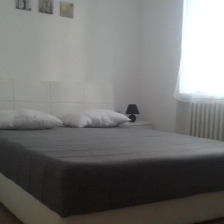 A&a بيت شباب نوفي ساد